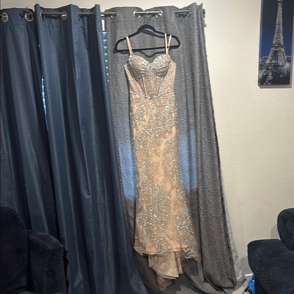 Elegant Silver and Cream Evening Gown